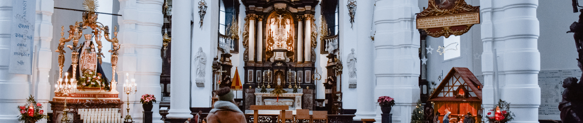 hanswijkbasiliek-6-.jpg